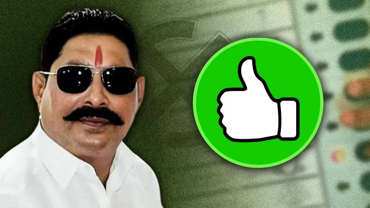 अनंत सिंह की मोकामा में शानदार जीत, जेल में रहते हुए भी मचाया धमाल