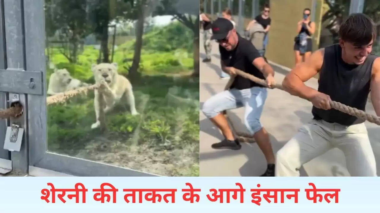 शेरनी की अद्भुत ताकत: दो लोगों को किया नाकाम