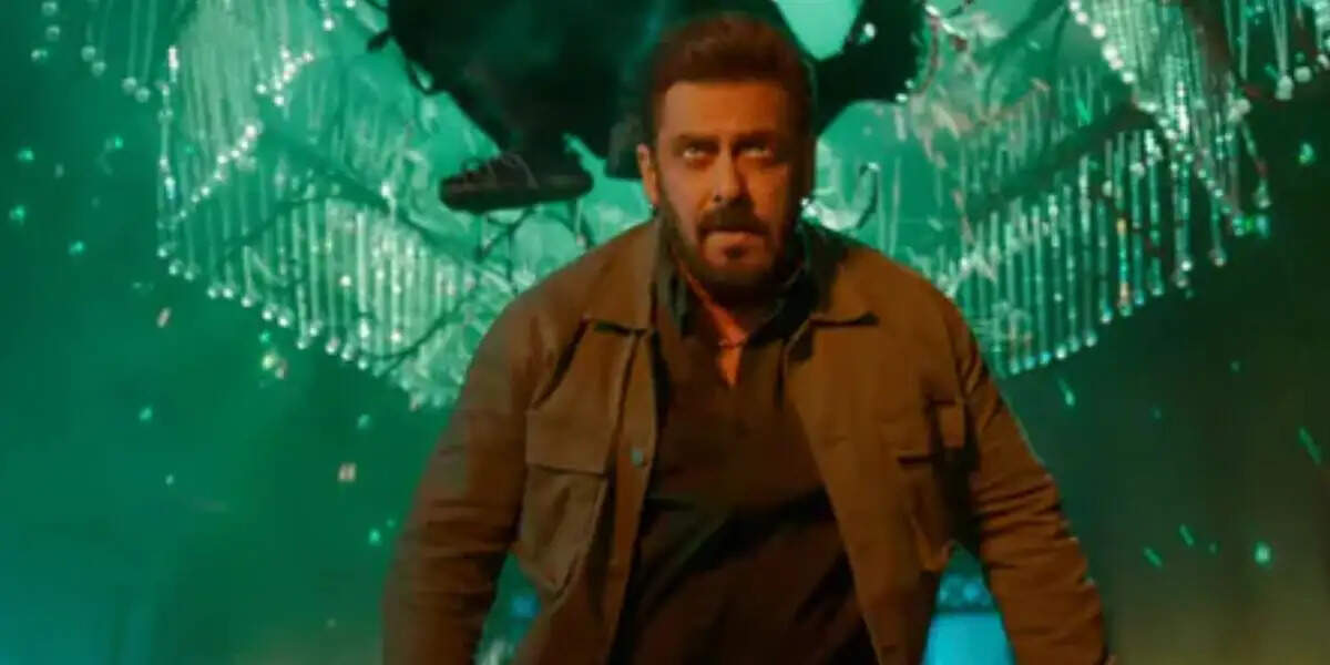 सलमान खान की संपत्ति का वारिस कौन होगा? जानें उनके परिवार के बारे में