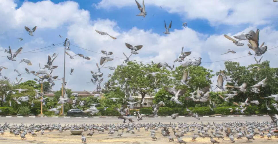 दिल्ली-एनसीआर में वायु गुणवत्ता में सुधार, मौसम में बदलाव का असर