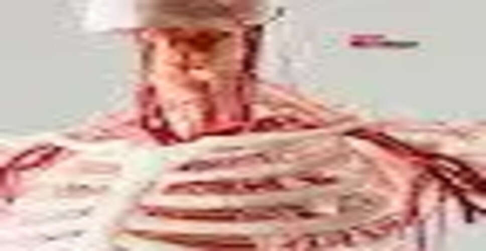 इंसान के शरीर में नसों का अद्भुत जाल: जानें इसकी जटिलता