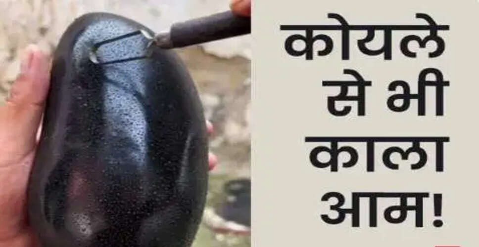 गर्मी में आम का आनंद: काले आम की अनोखी विशेषता