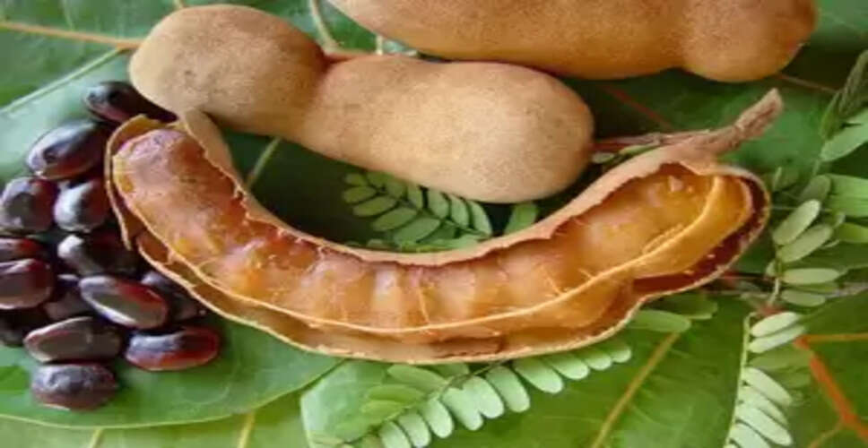 खट्टी मीठी इमली में बड़े गुण, कोलेस्ट्रॉल कंट्रोल कर दिल का रखती है खास ख्याल