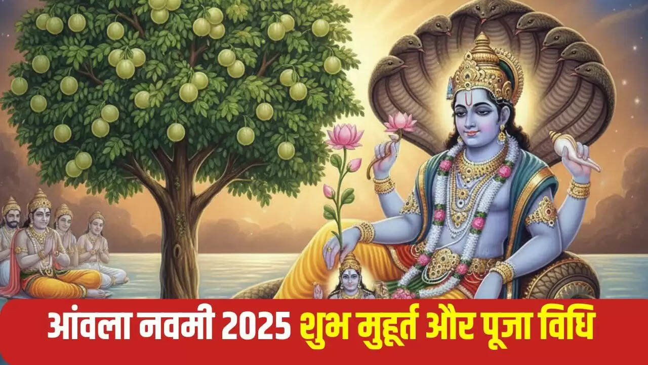 आंवला नवमी 2025: पूजा विधि और महत्व जानें