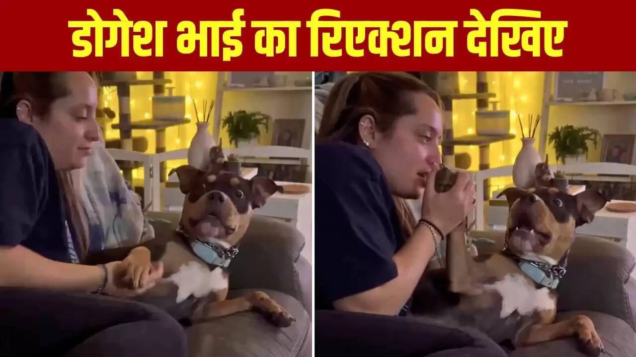 महिला का कुत्ते के साथ मजेदार प्रैंक, वीडियो हुआ वायरल