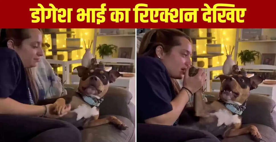 महिला का कुत्ते के साथ मजेदार प्रैंक, वीडियो हुआ वायरल