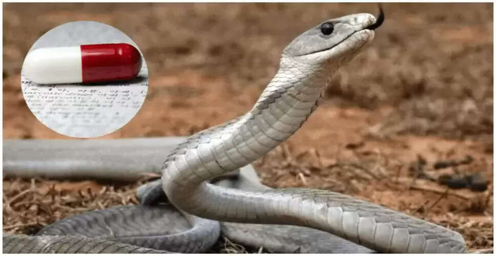 सांप के जहर से बचाव के लिए नई दवा का विकास
