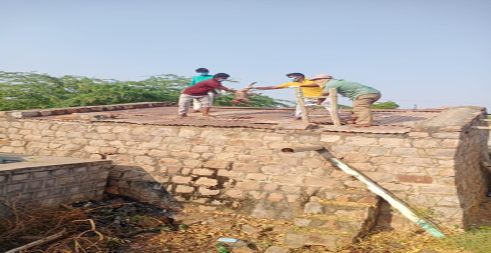 तेलंगाना में पानी की टंकी में 30 बंदर मृत पाए गए