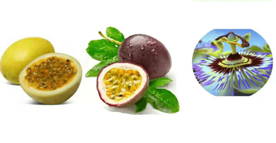 कृष्णा फल के अद्भुत स्वास्थ्य लाभ: जानें इसके 6 फायदे
