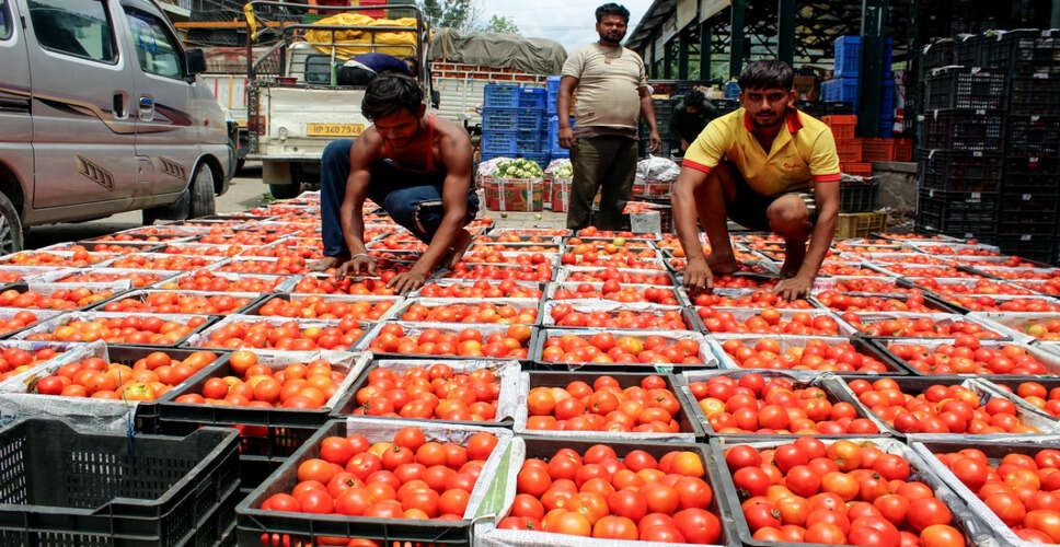 बिहार में कृषि बाजारों का आधुनिकीकरण और किसानों के लिए नई सुविधाएं