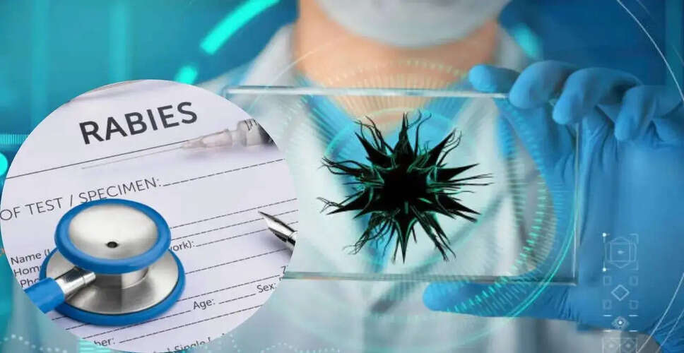 अमेरिकी स्वास्थ्य एजेंसी ने रोगों की जांच को रोका, विशेषज्ञों की चिंता बढ़ी