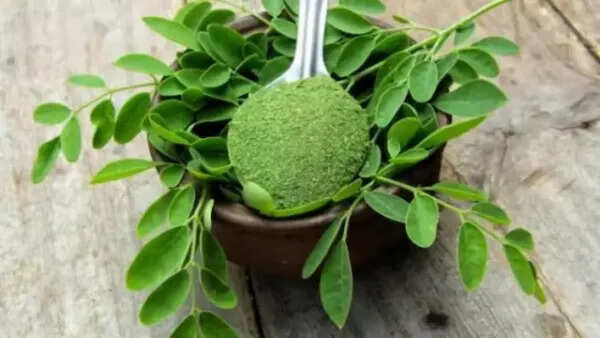मोरिंगा के पत्तों के अद्भुत स्वास्थ्य लाभ