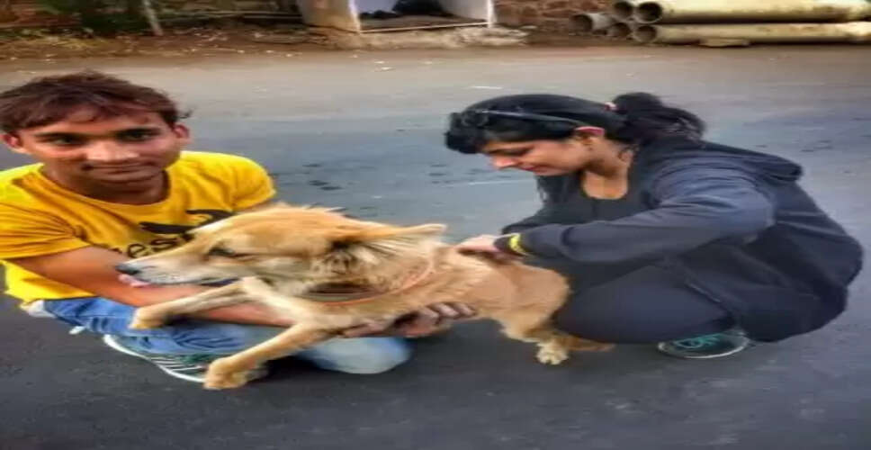 भारत के 80 प्रतिशत सार्वजनिक स्वास्थ्य केंद्रों में उपलब्ध एंटी-रेबीज वैक्सीन : लैंसेट रिपोर्ट