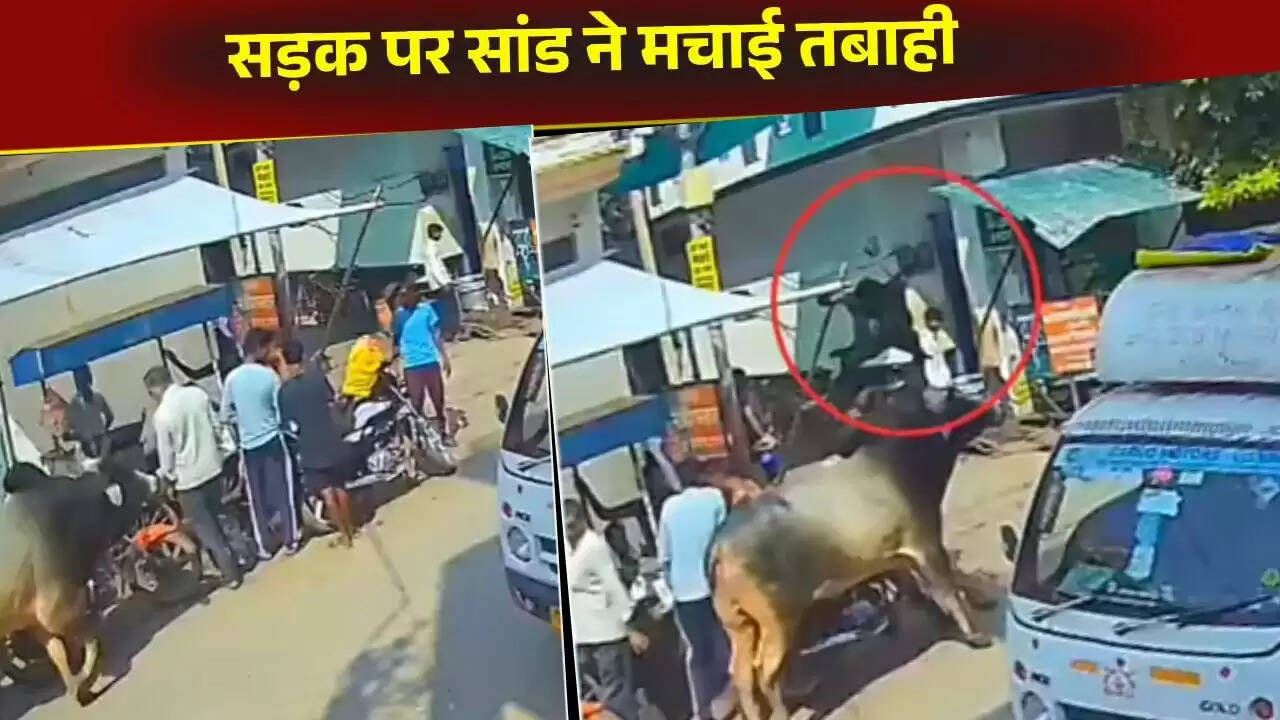 अलीगढ़ में सांड के हमले का खतरनाक वीडियो वायरल, दो की मौत