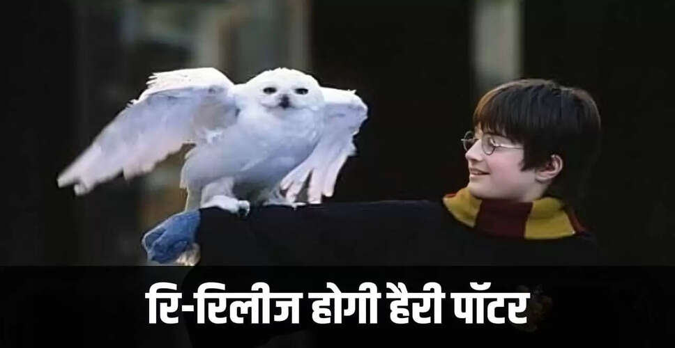 हैरी पॉटर फिल्म श्रृंखला और आगामी सीरीज की जानकारी