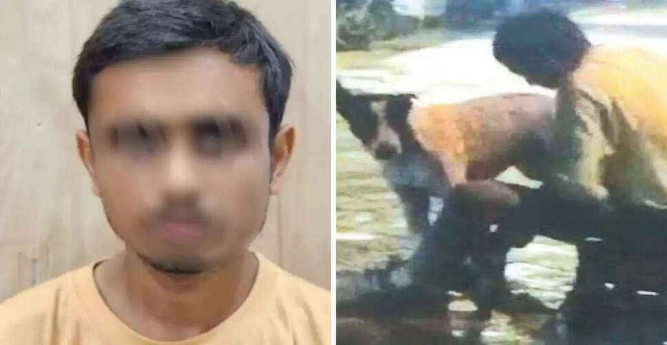 लखनऊ में डॉगी के साथ हैवानियत: युवक गिरफ्तार, वीडियो ने मचाया हंगामा