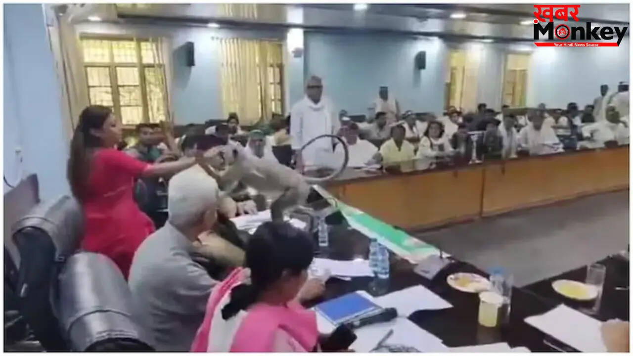किसानों की बैठक में लंगूर की अनोखी एंट्री, वीडियो हुआ वायरल