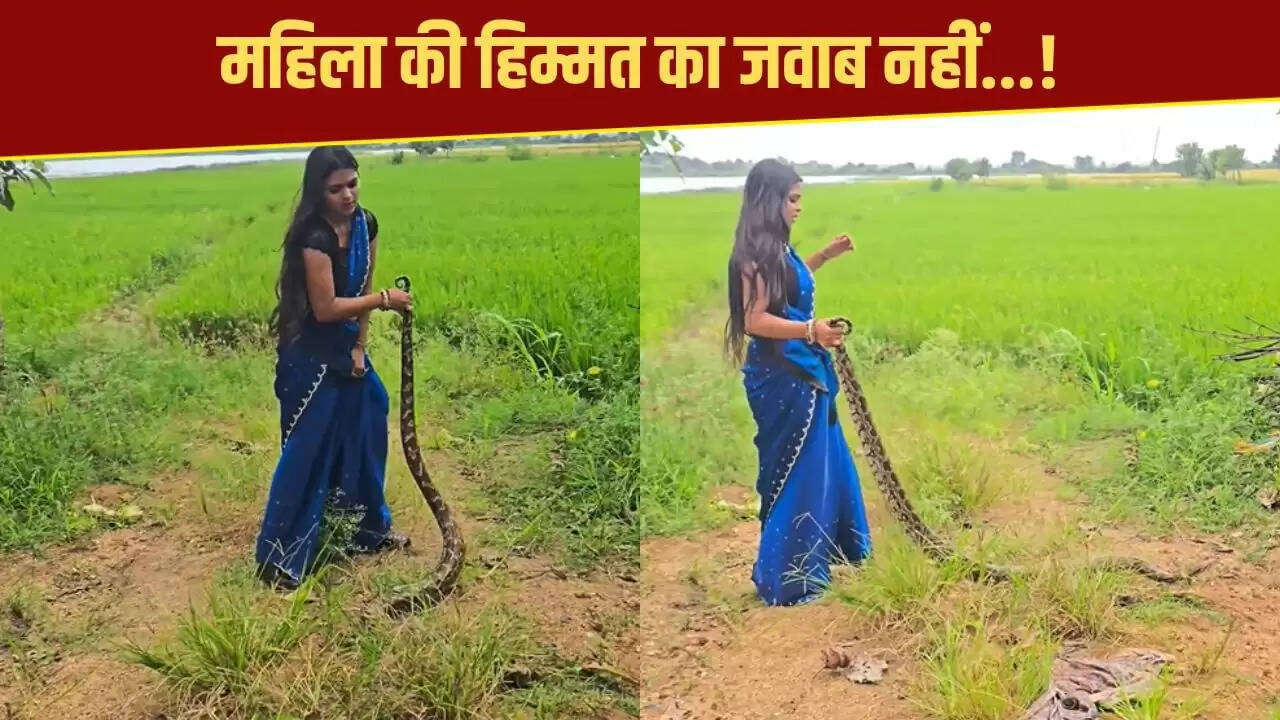 महिला ने अजगर को पकड़ा, वीडियो ने इंटरनेट पर मचाई धूम