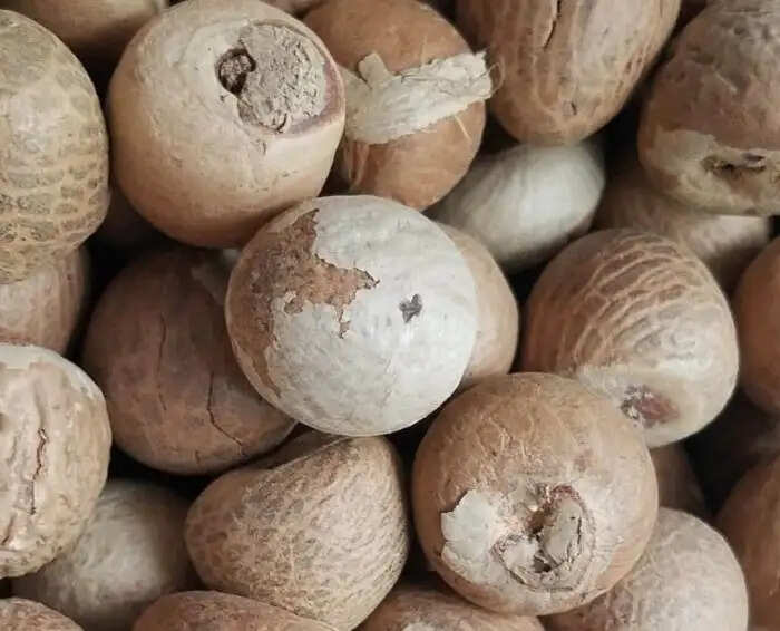 सुपारी के अद्भुत स्वास्थ्य लाभ: जानें कैसे यह आपकी सेहत को सुधार सकती है