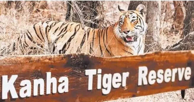 कान्हा टाइगर रिजर्व में मोबाइल फोन का उपयोग प्रतिबंधित