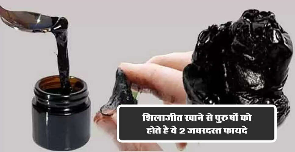 शिलाजीत: पुरुषों के स्वास्थ्य के लिए एक प्राकृतिक वरदान