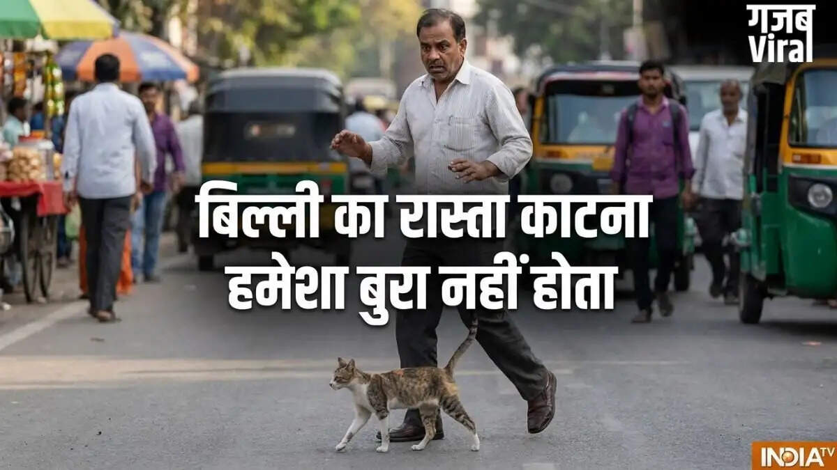 बिल्ली का रास्ता काटना: शुभ या अशुभ? जानें शकुन शास्त्र के अनुसार