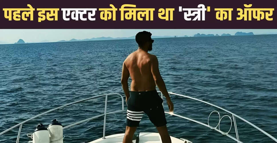 विकी कौशल ने 'स्त्री' फिल्म का प्रस्ताव ठुकराया, जानें कौन है असली पहली पसंद