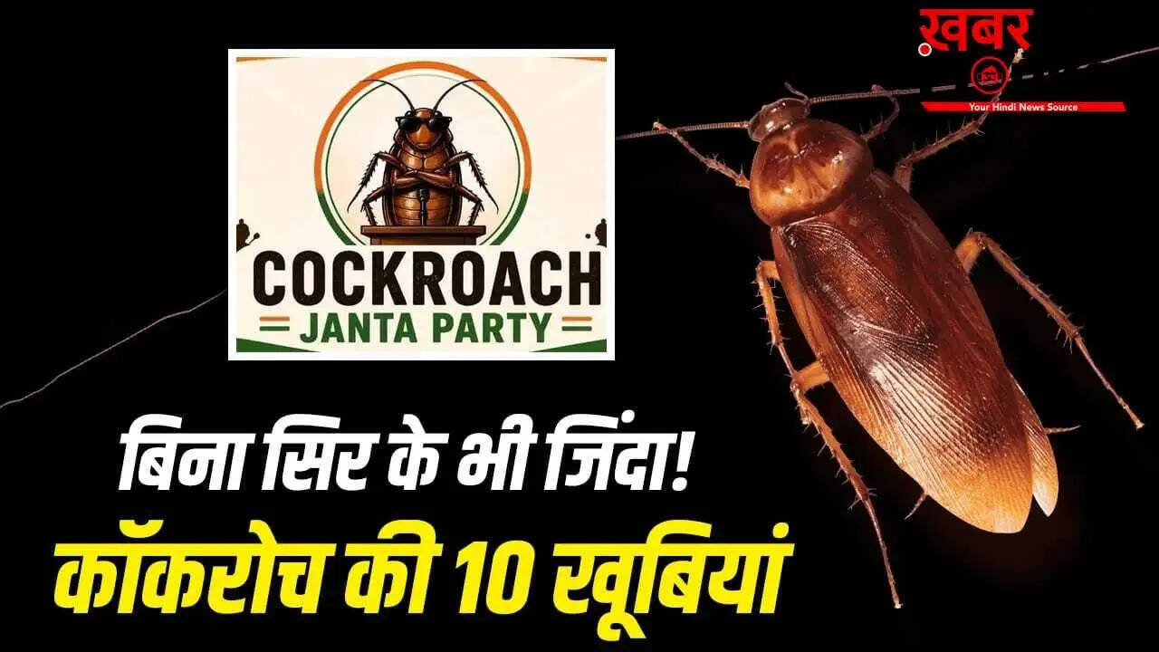 दिल्ली में कॉकरोच जनता पार्टी का प्रदर्शन: जानें कॉकरोच के अनोखे तथ्य