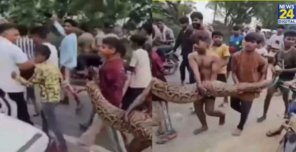 बुलंदशहर में बच्चों ने 15 फुट लंबे अजगर को उठाया, वीडियो वायरल