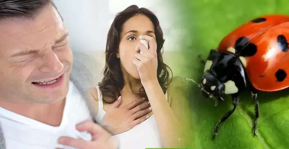 अस्थमा अटैक के 5 प्रमुख कारण और उनसे बचने के उपाय