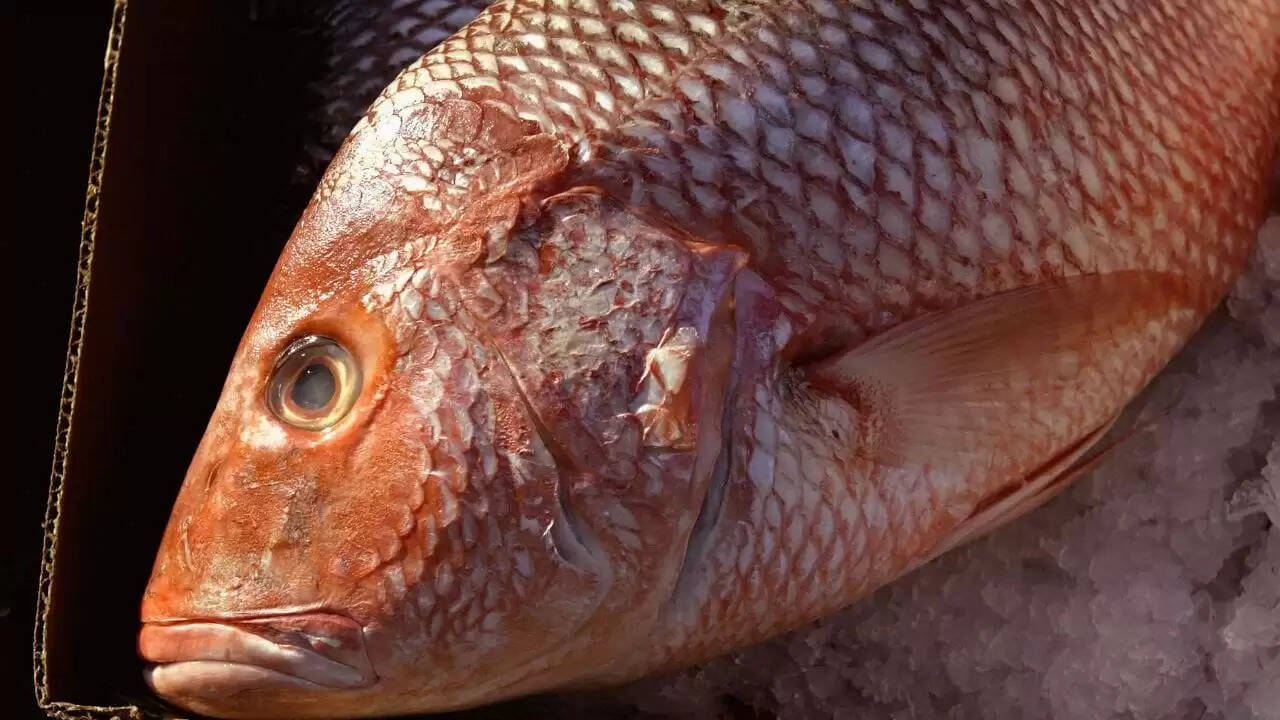 चीन के वैज्ञानिकों ने बनाई हड्डी रहित मछली, कांटे से मुक्ति का नया उपाय