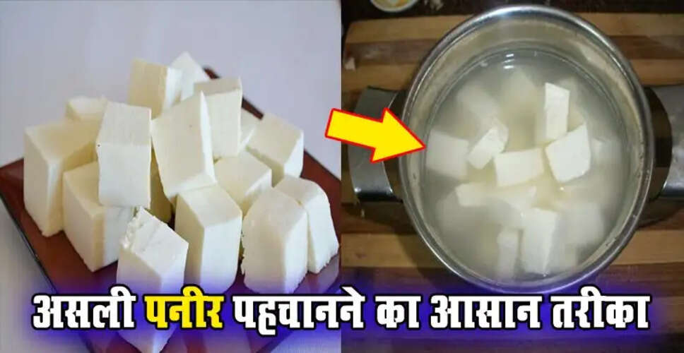 पनीर की शुद्धता की जांच कैसे करें: जानें आसान तरीके