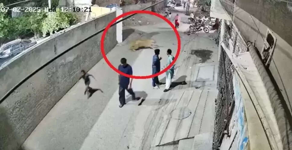 लाहौर में पालतू शेर का हमला: महिला और बच्चों पर किया गया हमला
