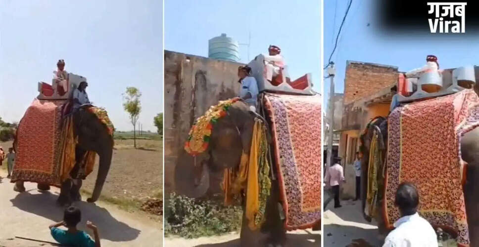 मेरठ के दूल्हे ने हाथी पर सवार होकर किया अनोखा विवाह