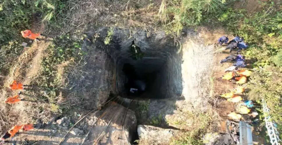 असम में अवैध कोयला खनन पर चिंता, वन्यजीव अभयारण्यों की मांग