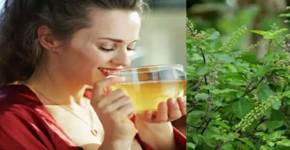 तुलसी के पानी के अद्भुत फायदे: स्वास्थ्य के लिए रामबाण