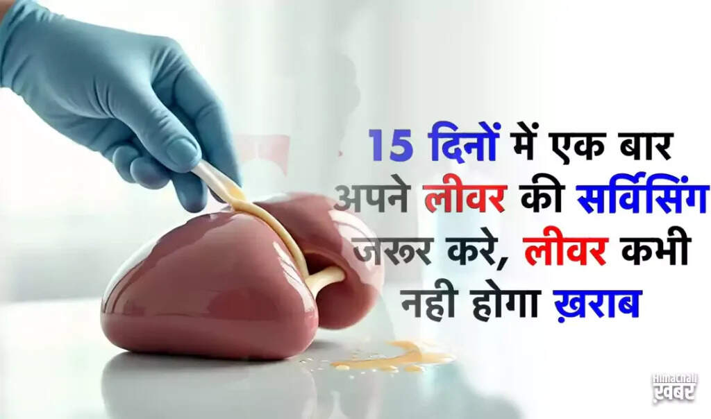लीवर की सेहत: घरेलू उपायों से करें सफाई और देखभाल