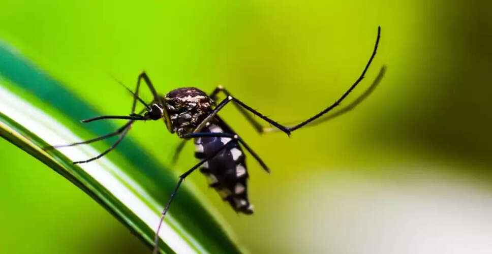 मानसून में मच्छरों से बचने के उपाय