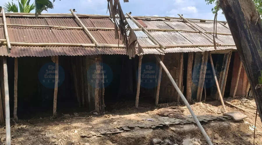 असम में बाढ़ से प्रभावित गांवों की दुर्दशा: पुनर्निर्माण की चुनौती