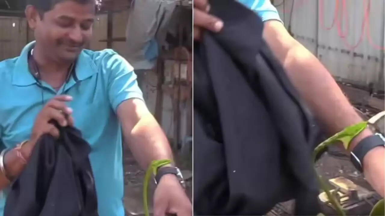 सांप के काटने का वीडियो: स्नैक कैचर की अद्भुत प्रतिक्रिया