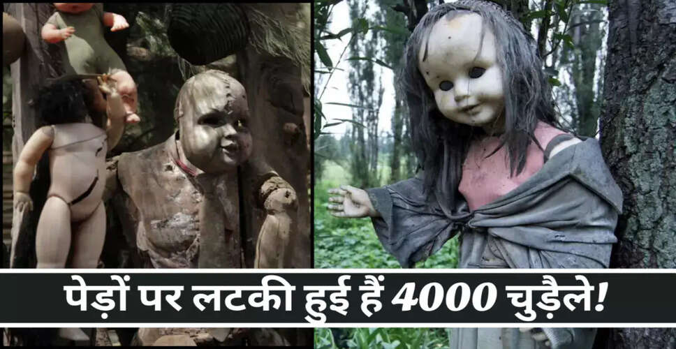 गुड़ियाओं का डरावना द्वीप: एक रहस्यमय यात्रा