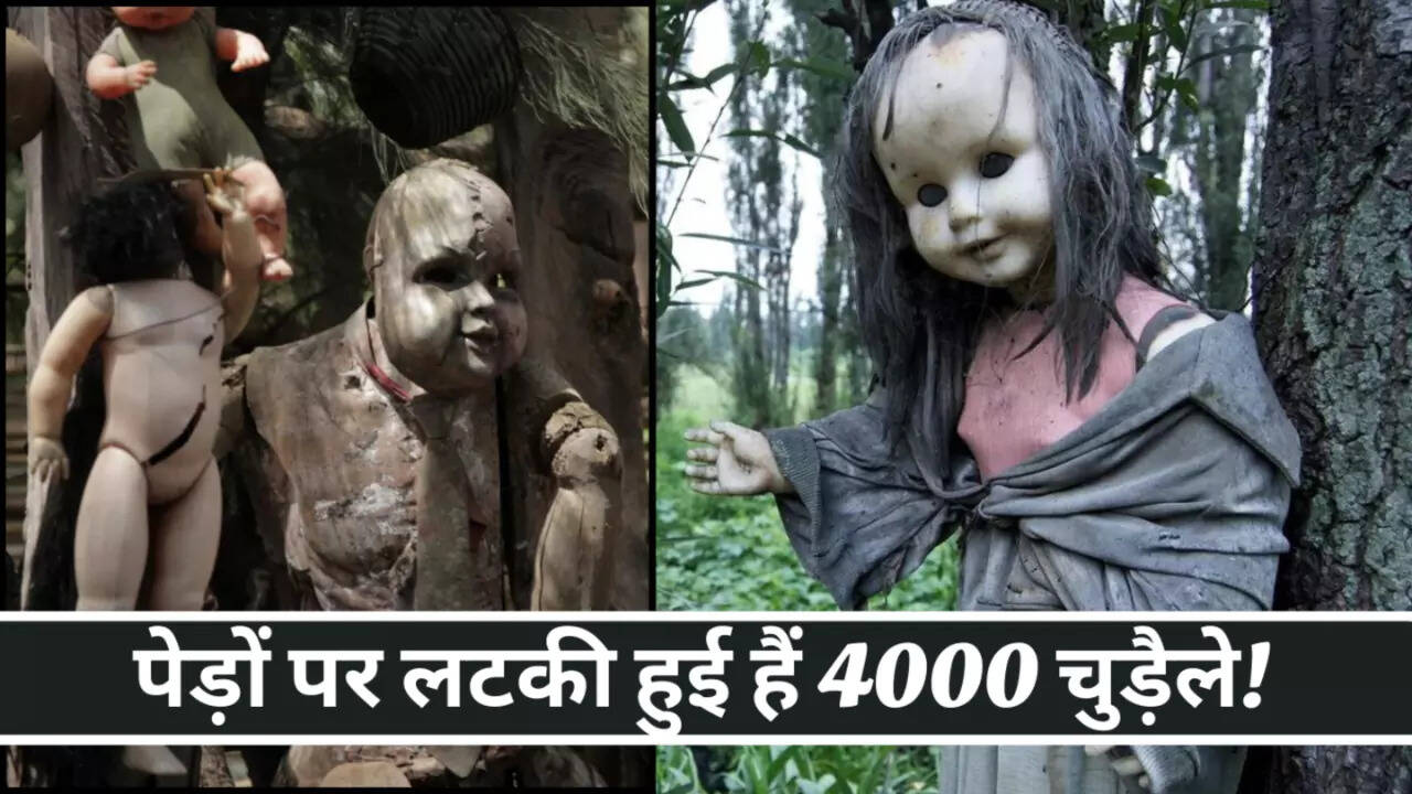 गुड़ियाओं का डरावना द्वीप: एक रहस्यमय यात्रा