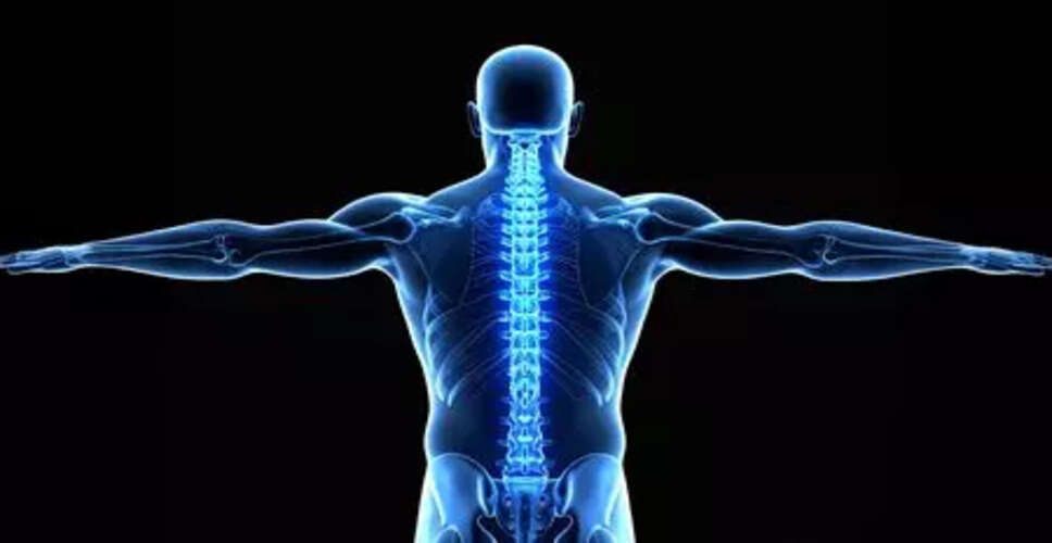 जापानी शोधकर्ताओं ने वसा से निकाले गए स्टेम सेल से रीढ़ की हड्डी के फ्रैक्चर का सफल उपचार किया