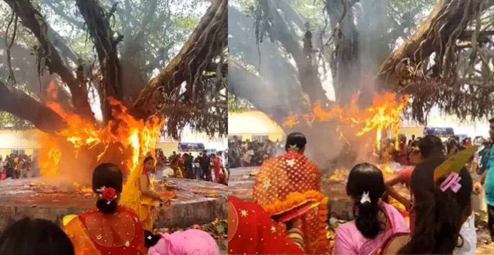 पटना में वट सावित्री पूजा के दौरान बरगद के पेड़ में आग, महिलाओं में मची अफरा-तफरी