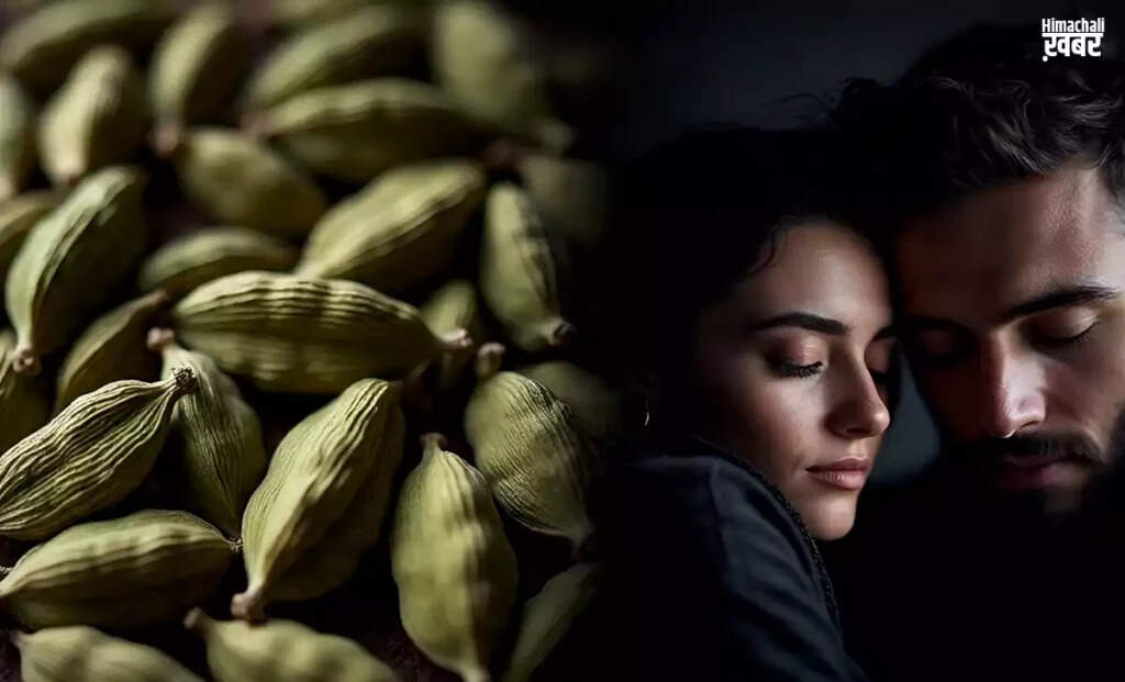 इलायची के अद्भुत स्वास्थ्य लाभ: जानें कैसे करें सेवन