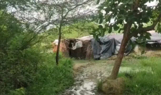 कानपुर में रिश्तों का खौफनाक कत्ल: पत्नी और भांजे ने मिलकर की हत्या