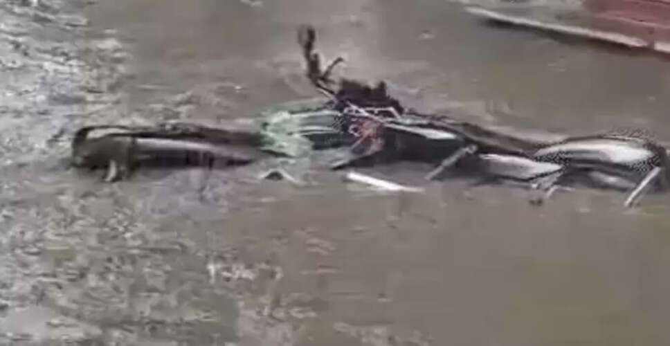 मेरठ के किसान की भैंस ने तीन बछड़ों को दिया जन्म, गांव में मचा हड़कंप