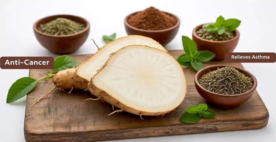 जिमीकंद: स्वास्थ्य के लिए अद्भुत लाभ और उपयोग