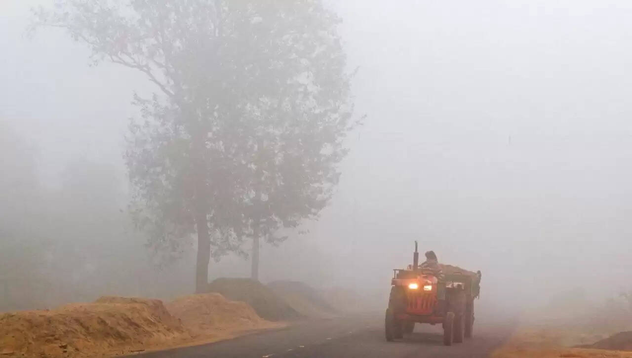 उत्तर प्रदेश में मौसम का हाल: ठंड और कोहरे का असर