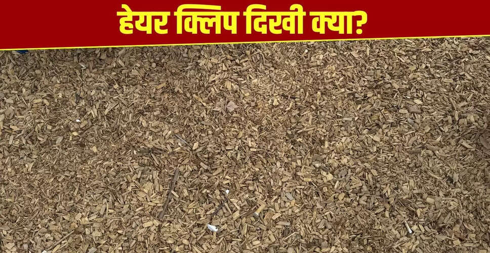 क्या आप इस ऑप्टिकल इल्यूजन में छिपी हेयर क्लिप ढूंढ पाएंगे?